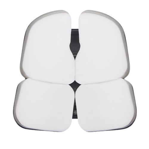 Version Coccyx