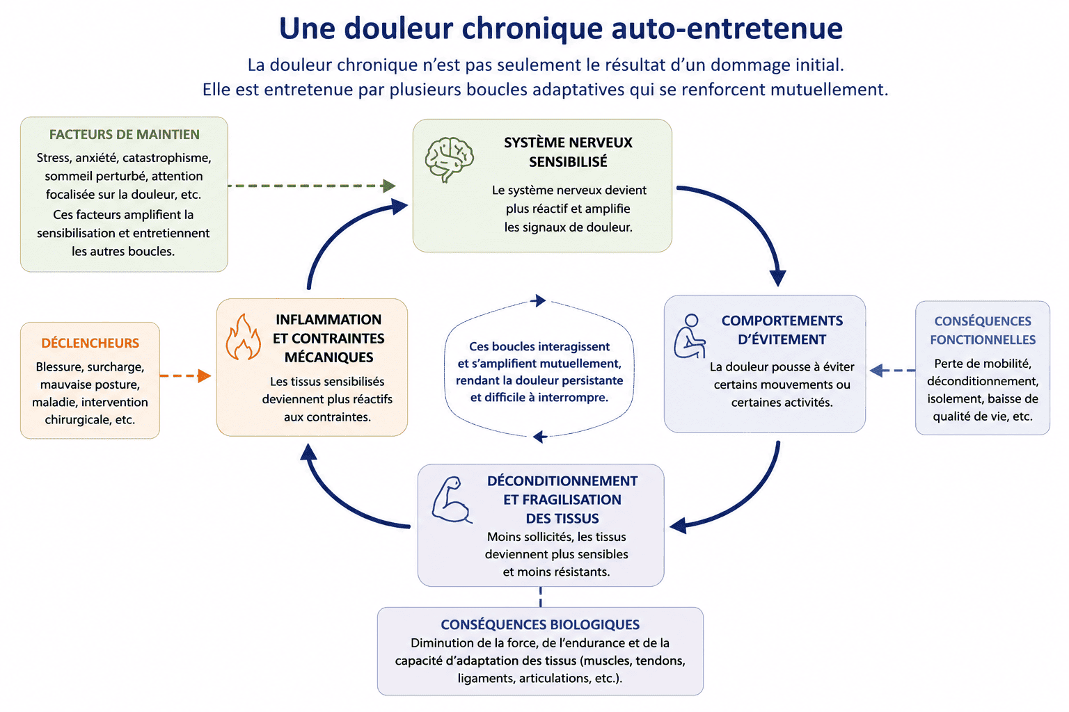 Schéma des boucles adaptatives qui entretiennent et amplifient une douleur chronique