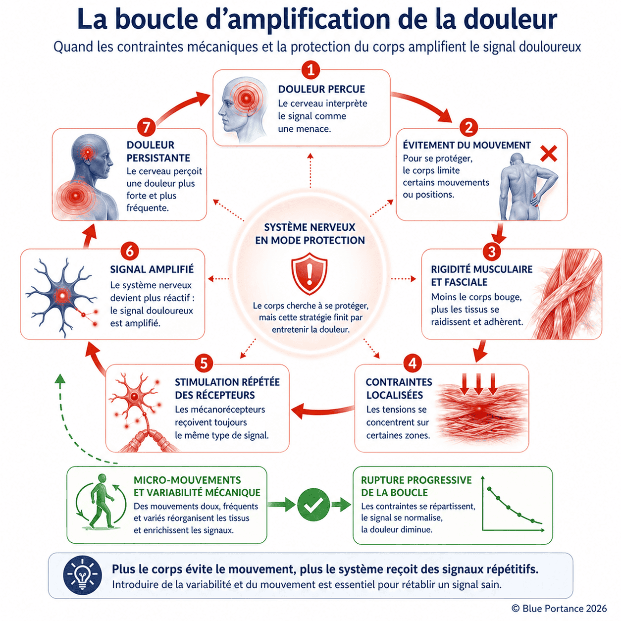 Boucle d’amplification de la douleur montrant comment l’évitement du mouvement, la rigidité et la répétition des contraintes renforcent le signal douloureux