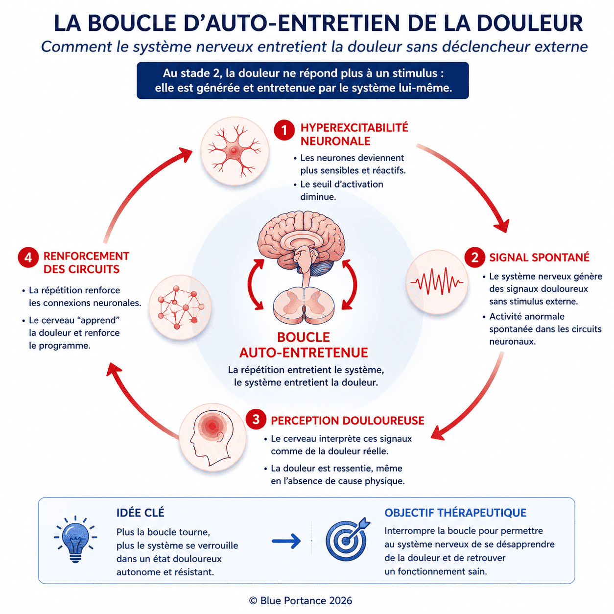 Cycle neuronal montrant comment la douleur se génère et se renforce sans stimulus externe