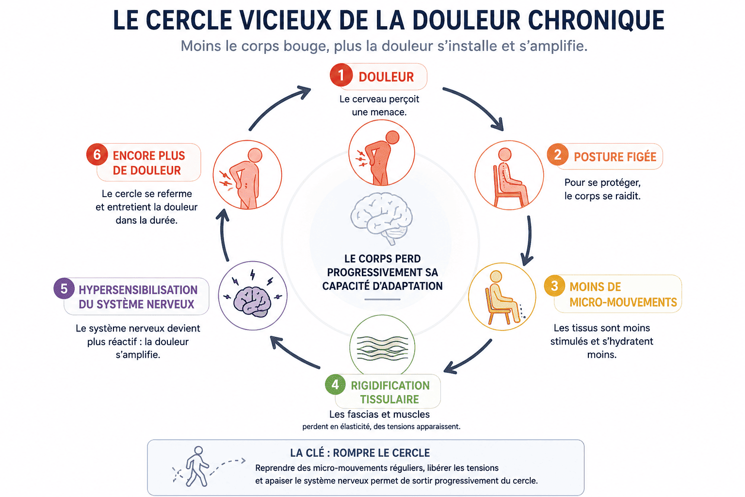 Cercle vicieux de la douleur chronique avec posture figée, perte de micro-mouvements et hypersensibilisation du système nerveux