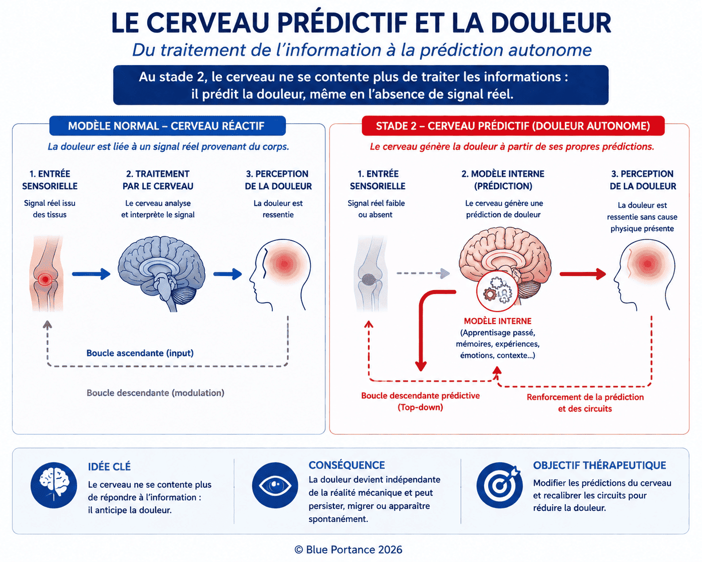 Comparaison entre perception normale de la douleur et douleur prédite par le cerveau sans signal réel