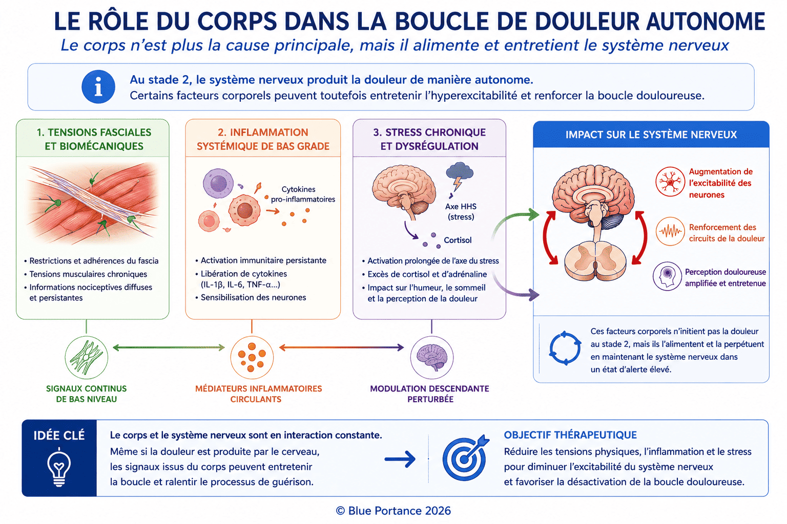 Schéma montrant comment fascias, inflammation et stress contribuent à maintenir la douleur