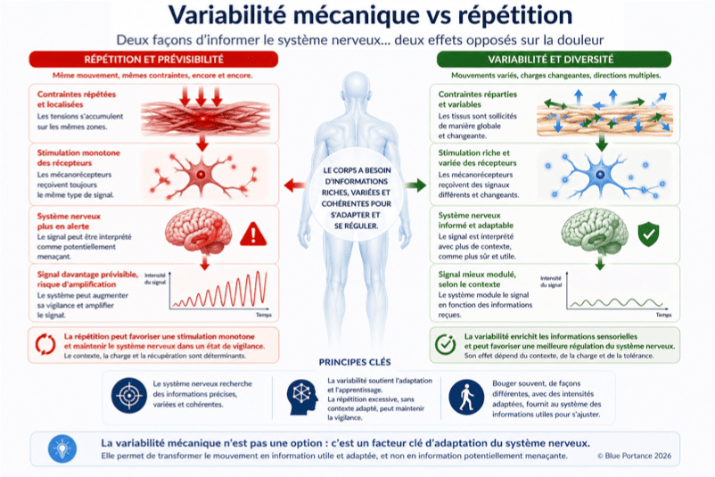 Comparaison entre répétition mécanique et variabilité des mouvements montrant leur impact sur les tissus et le signal douloureux
