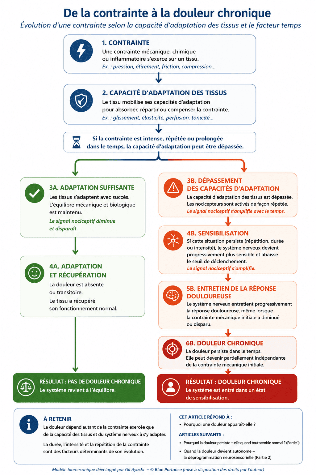 Schéma de la chronologie naturelle du phénomène douloureux : contrainte, capacité d'adaptation, puis réponse normale ou sensibilisation, résolution ou maintien du signal, aboutissant à l'absence de douleur chronique ou à une douleur chronique