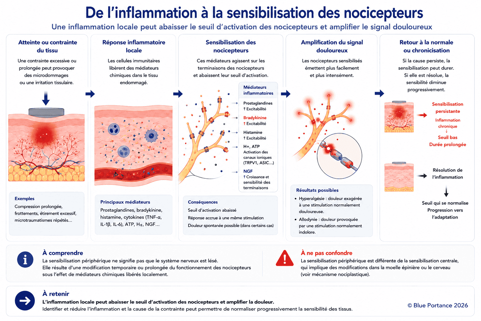 Schéma montrant comment une inflammation ou des médiateurs chimiques abaissent le seuil d'activation des nocicepteurs et augmentent leur sensibilité.