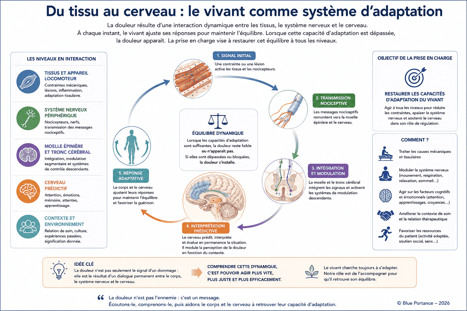 Schéma de synthèse reliant les tissus, le système nerveux, le cerveau et les capacités d'adaptation du vivant dans la compréhension de la douleur.