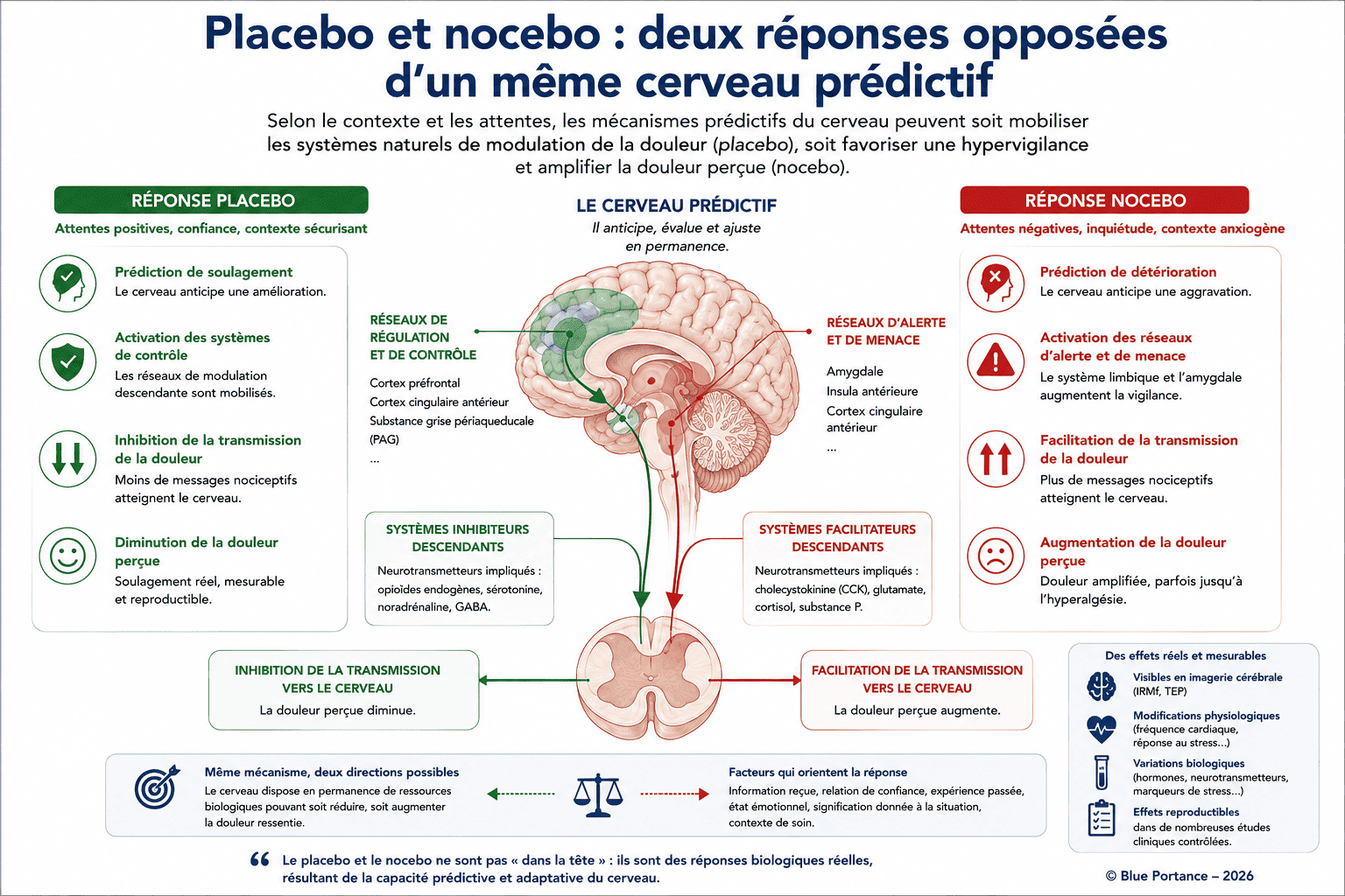 Comparaison entre les effets placebo et nocebo montrant comment les attentes positives ou négatives influencent les systèmes cérébraux de modulation de la douleur.
