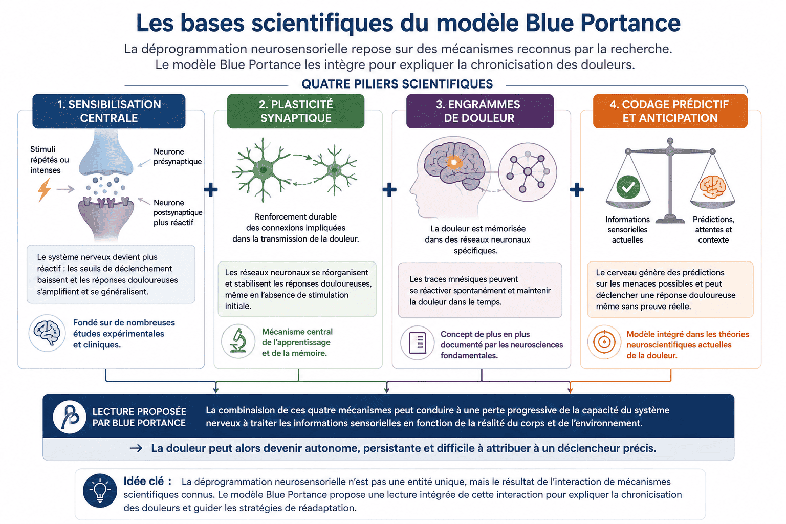 Schéma présentant les quatre mécanismes scientifiques mobilisés par le modèle Blue Portance : sensibilisation centrale, plasticité synaptique, engrammes et codage prédictif.