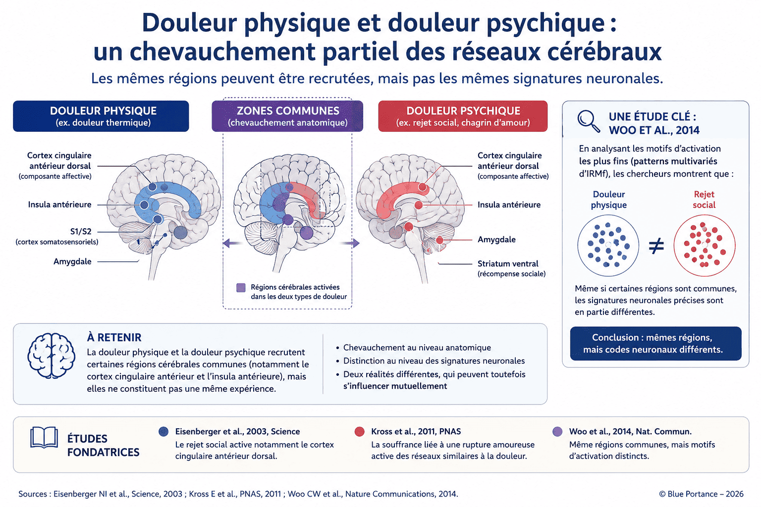 Schéma comparant les régions cérébrales impliquées dans la douleur physique et la douleur psychique avec leurs zones communes et leurs différences.