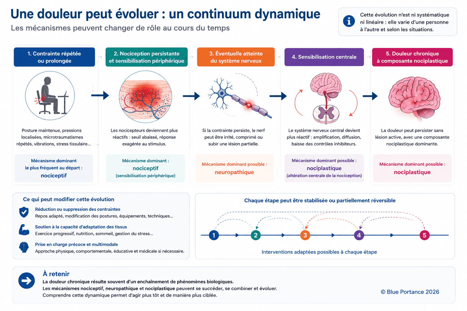 Continuum dynamique possible montrant l'évolution d'une contrainte répétée vers une nociception persistante, une atteinte nerveuse éventuelle, une sensibilisation centrale et une composante nociplastique.