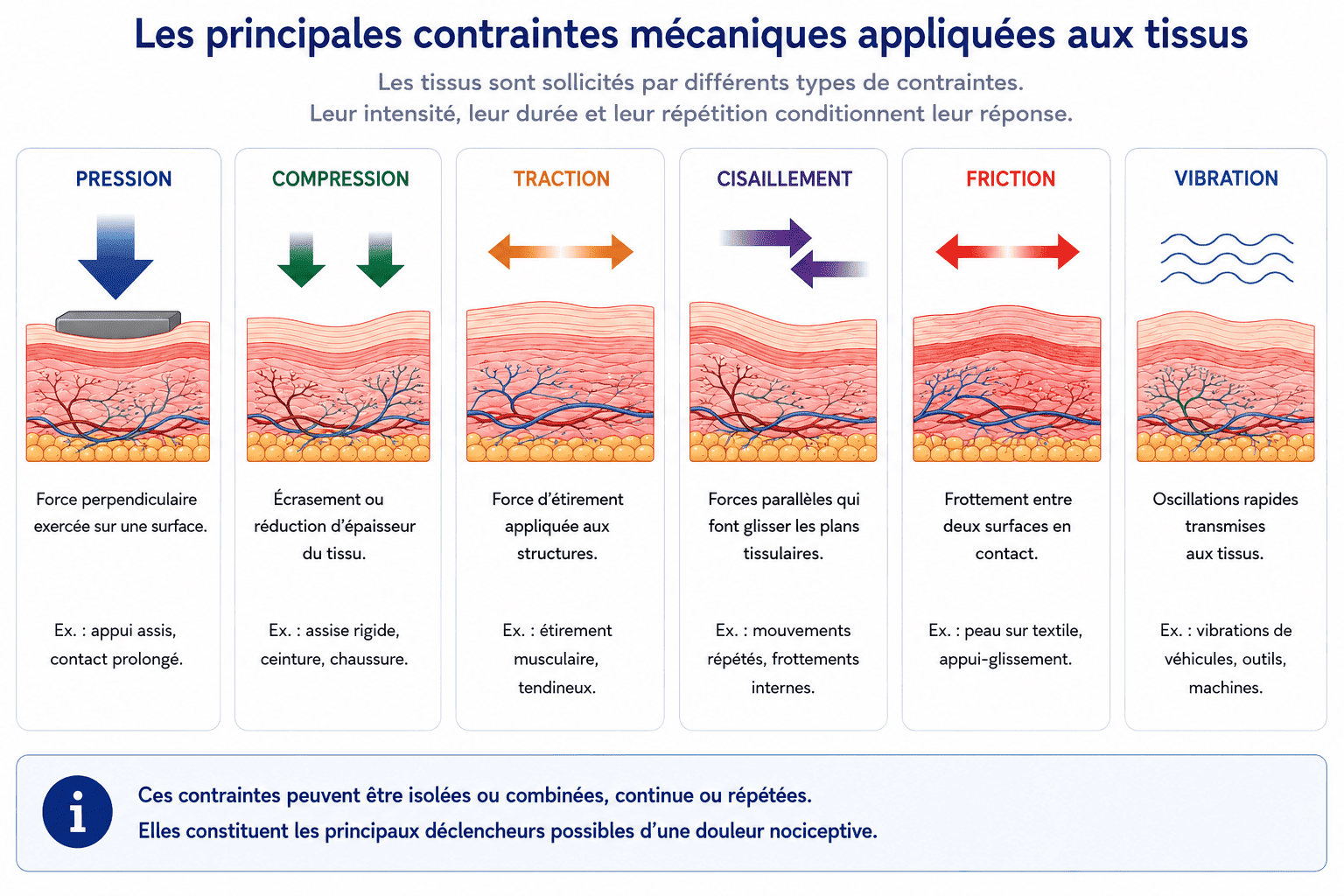 Schéma présentant les principaux types de contraintes mécaniques exercées sur les tissus : pression, compression, traction, cisaillement, friction et vibration.