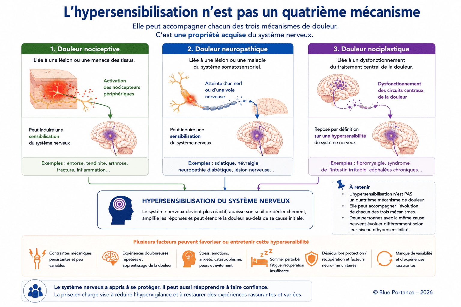 Schéma montrant que l'hypersensibilisation peut accompagner les douleurs nociceptives, neuropathiques ou nociplastiques sans constituer un quatrième mécanisme de douleur.