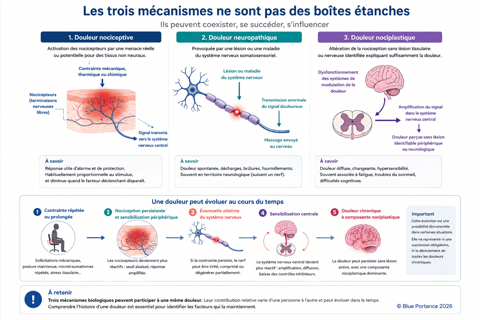 Les mécanismes nociceptif, neuropathique et nociplastique peuvent coexister, se succéder et contribuer ensemble à une même douleur.