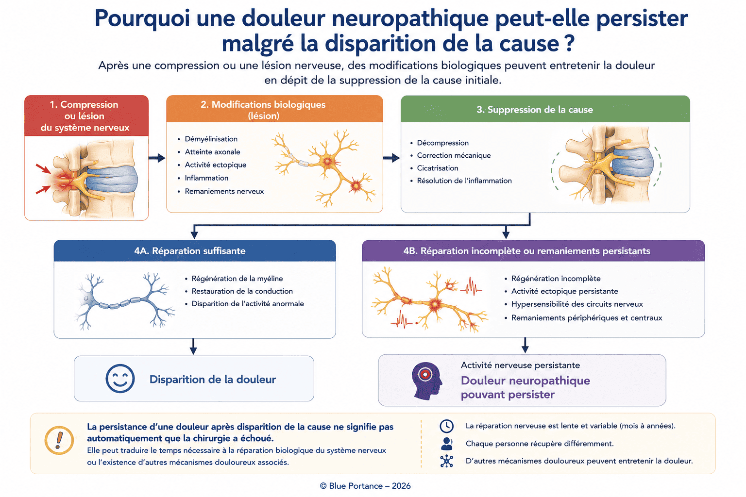 Schéma expliquant la persistance d'une douleur neuropathique après disparition de la cause initiale.