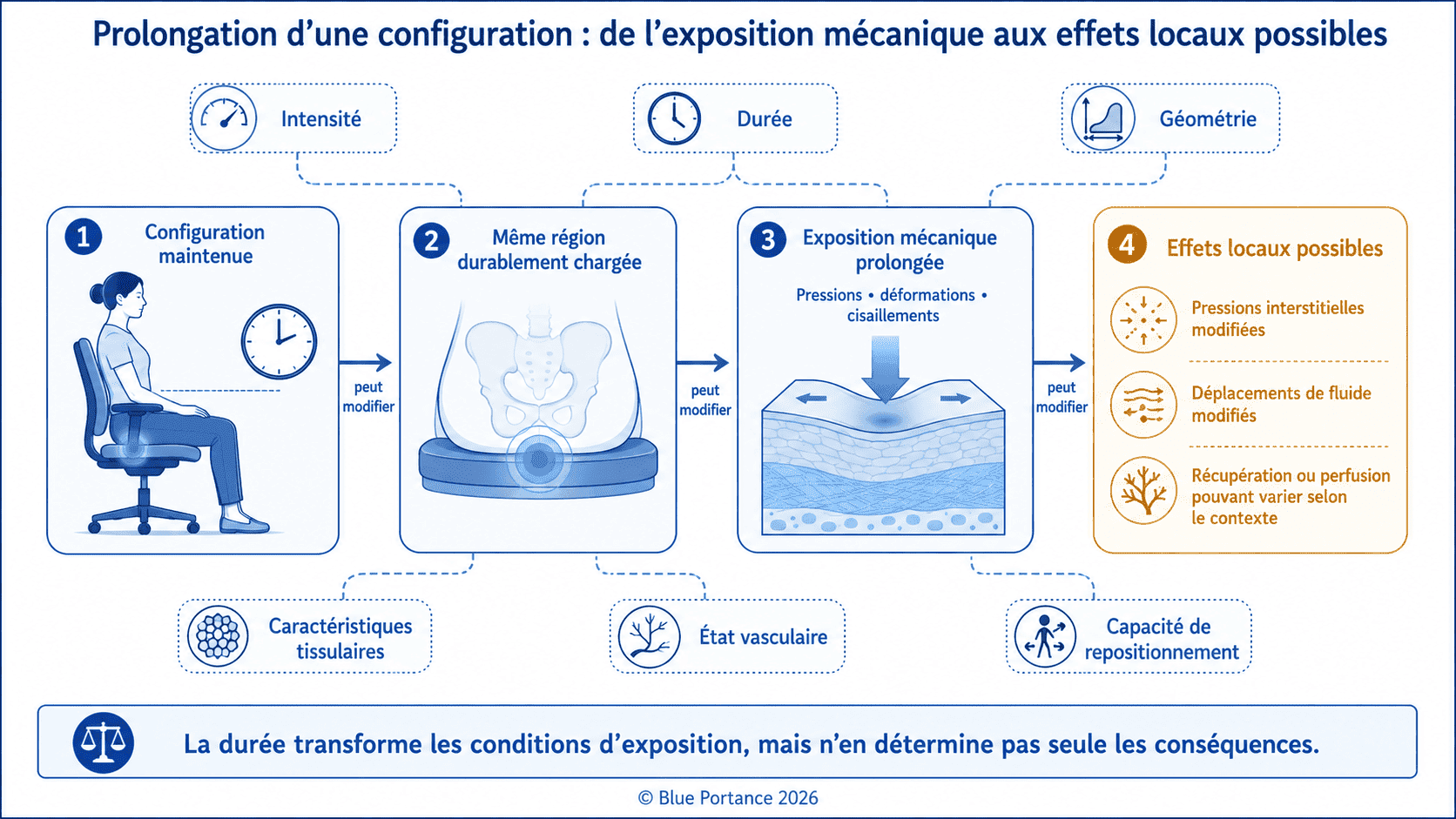 Chaîne reliant configuration maintenue, contraintes prolongées et effets fluidiques ou physiologiques possibles.