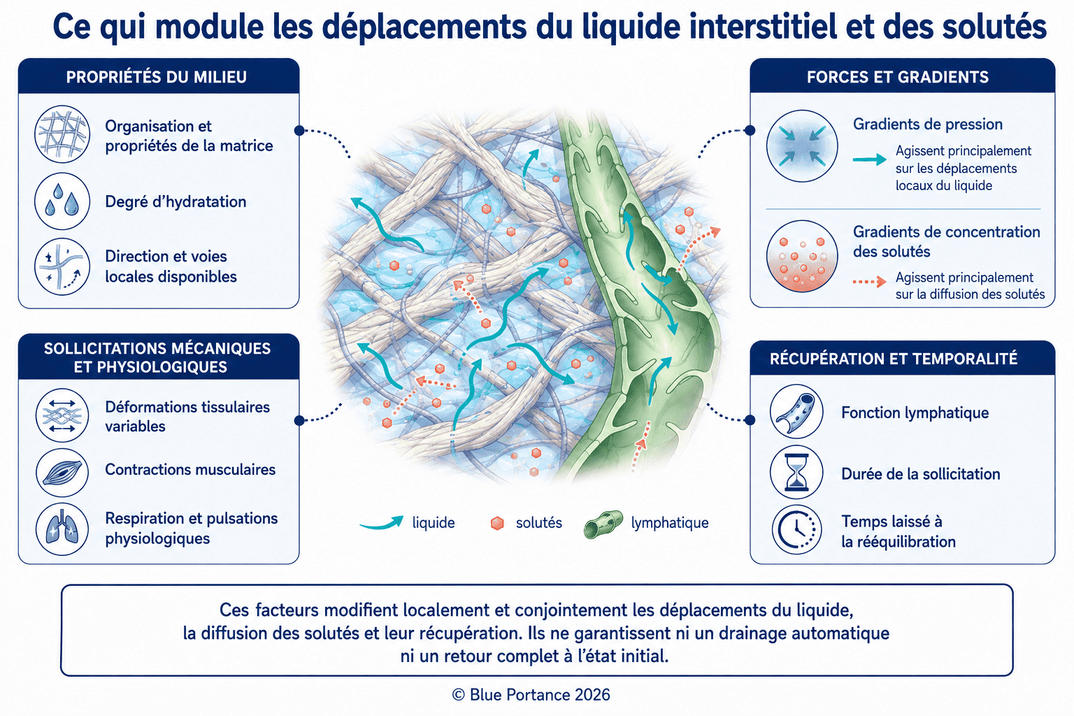 Facteurs influençant la mobilité interstitielle : gradients, perméabilité, contractions musculaires, respiration, temps et récupération lymphatique.