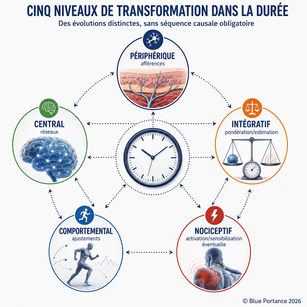 Niveaux périphérique, central, intégratif, comportemental et nociceptif reliés sans causalité automatique.
