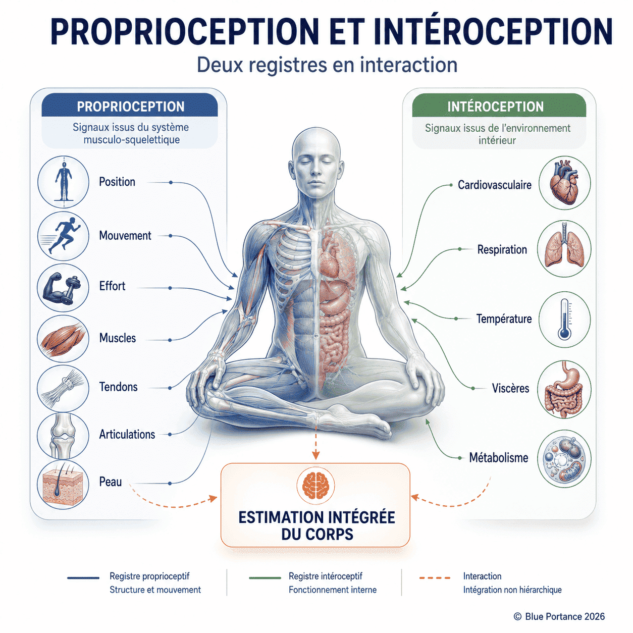 Comparaison entre informations musculosquelettiques et informations cardiovasculaires, respiratoires, thermiques, viscérales et métaboliques.