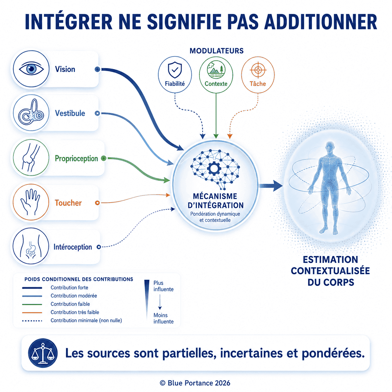 Vision, vestibule, proprioception, toucher et intéroception sont pondérés selon leur fiabilité, le contexte et la tâche.