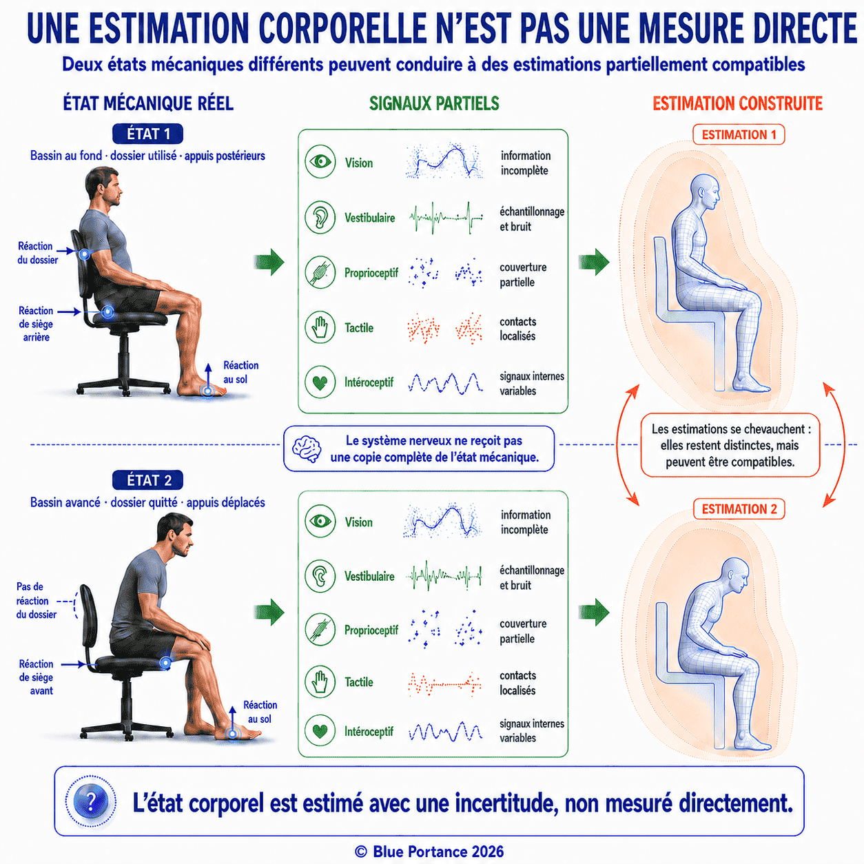 État mécanique réel, signaux sensoriels partiels et estimation corporelle avec incertitude.