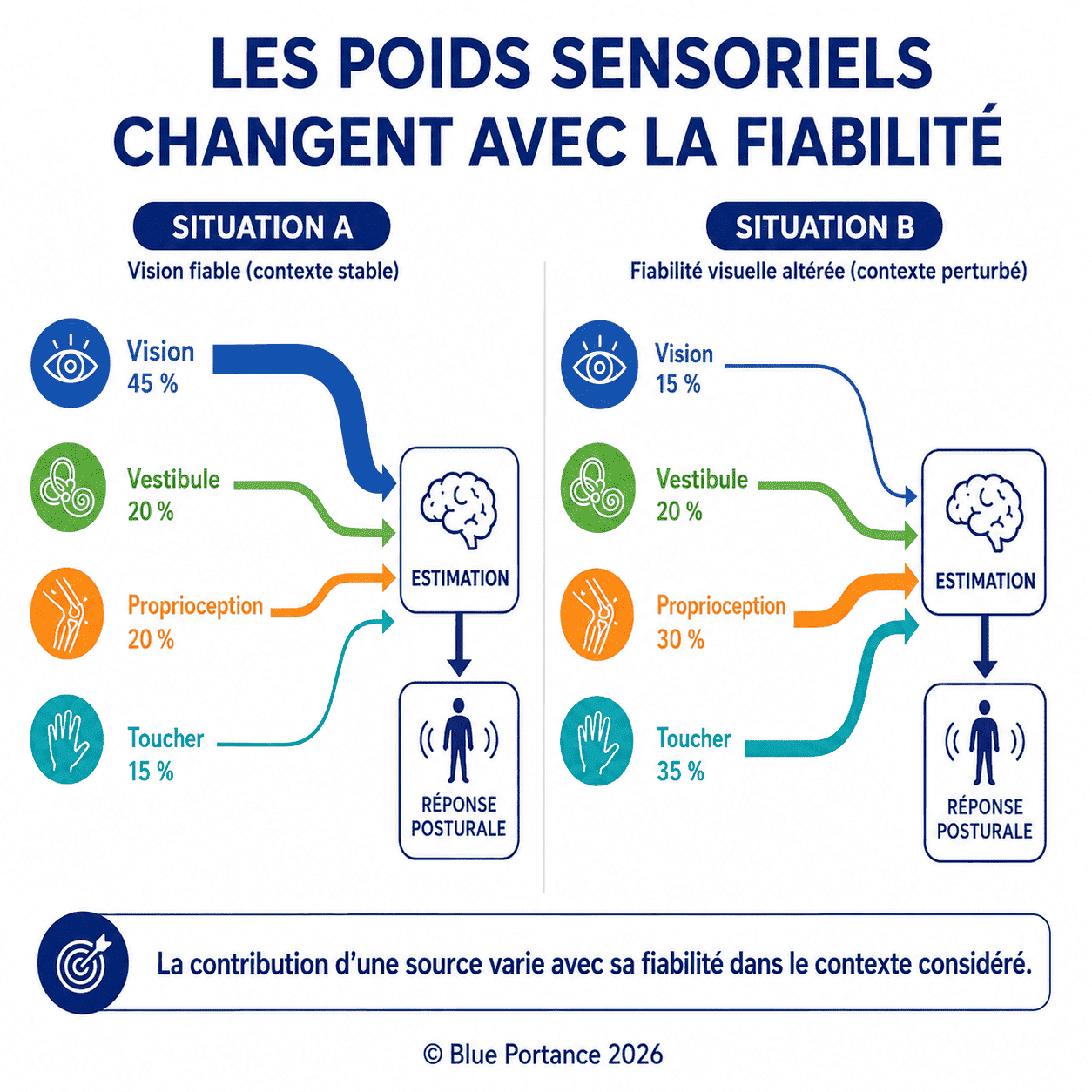 Deux situations montrent des contributions relatives différentes de la vision, du vestibule, de la proprioception et du toucher.