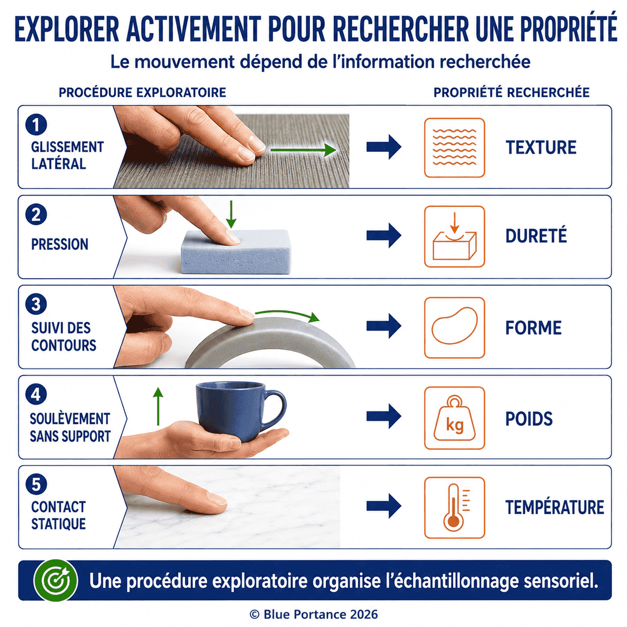 Cinq procédures : glissement latéral pour la texture, pression pour la dureté, suivi des contours pour la forme, soulèvement sans support pour le poids et contact statique pour la température.