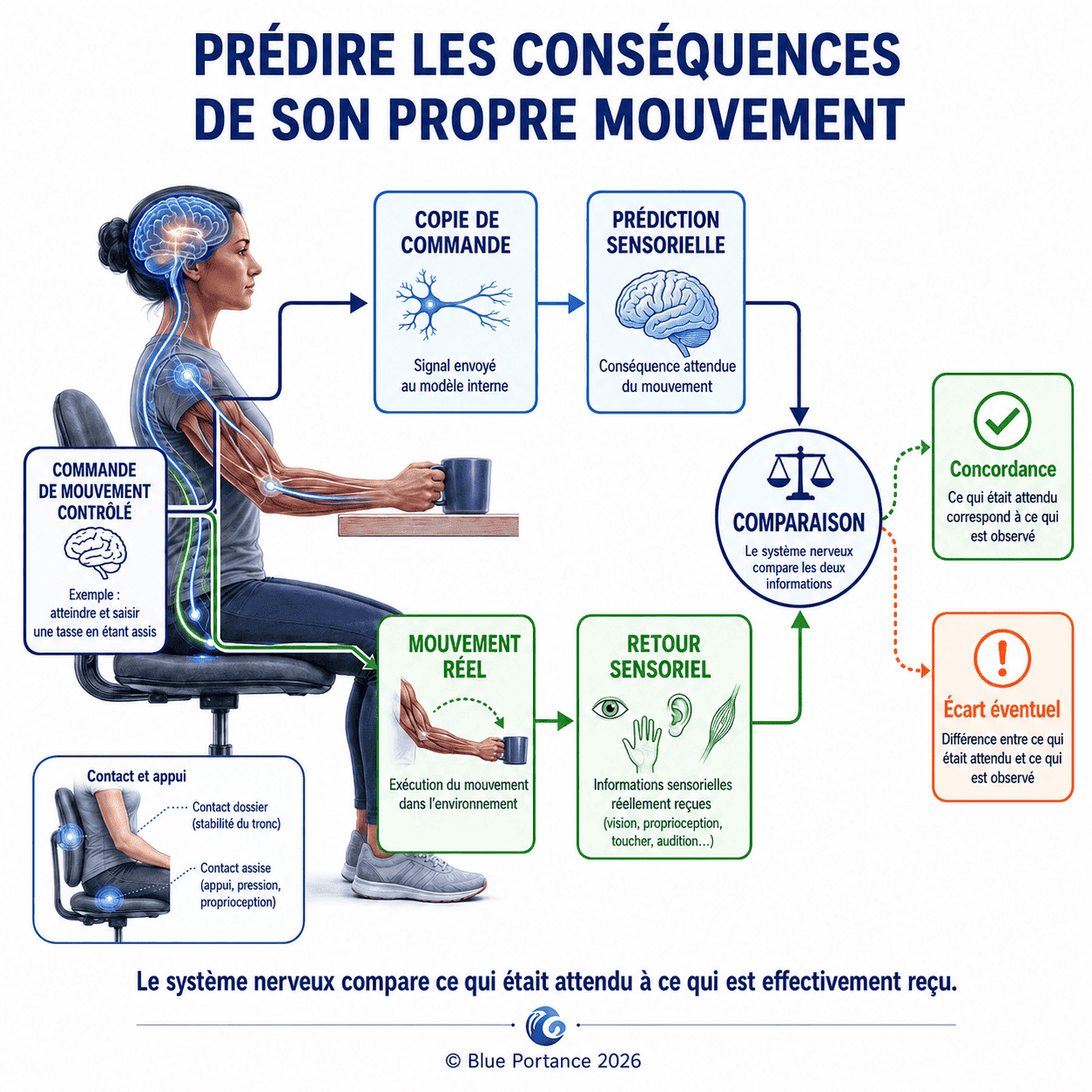 Comparaison entre la conséquence sensorielle attendue d'un mouvement volontaire et les informations réellement reçues après son exécution.