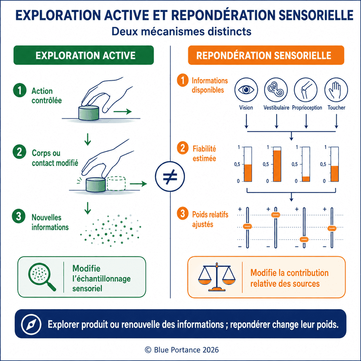 Comparaison entre production de nouvelles informations par l'action et modification du poids des informations déjà disponibles.