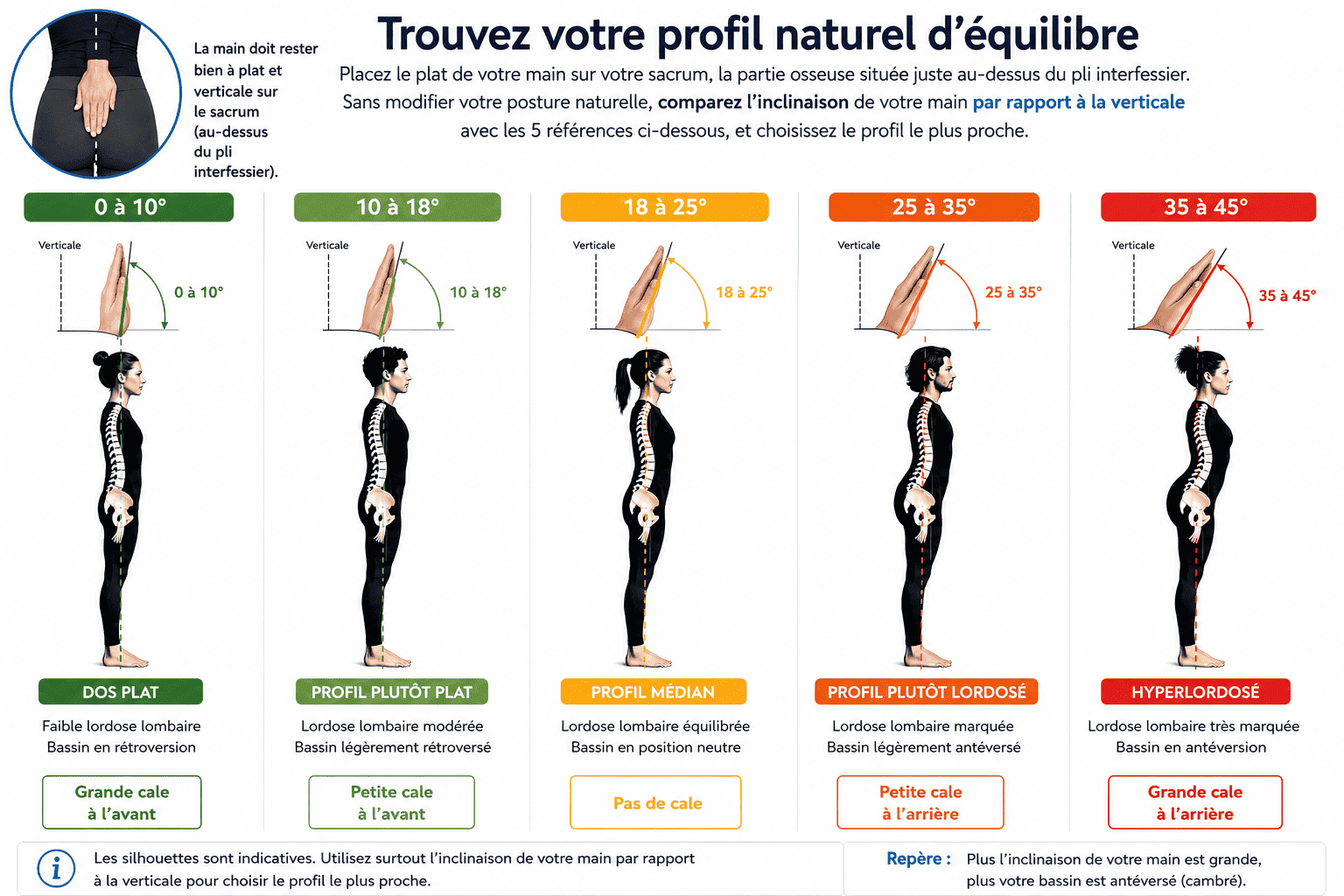 Les cinq profils naturels d’équilibre du bassin et du rachis