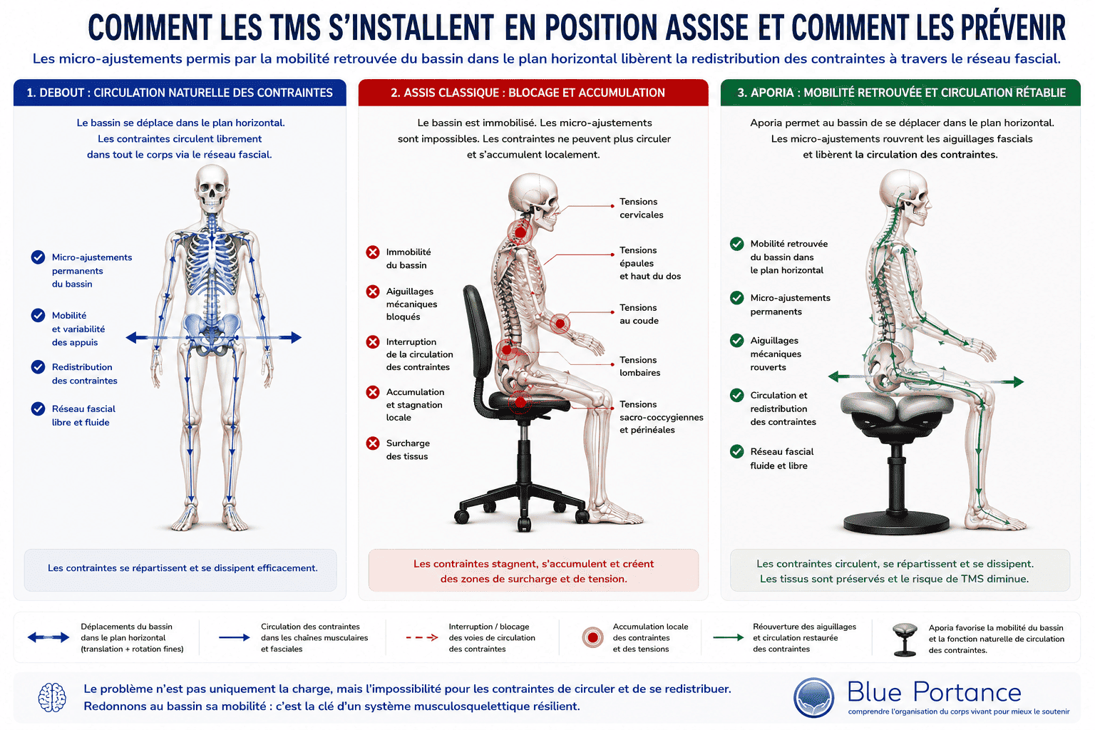 Comment les troubles musculo-squelettiques s'installent en position assise et comment Aporia les prévient - Blue Portance